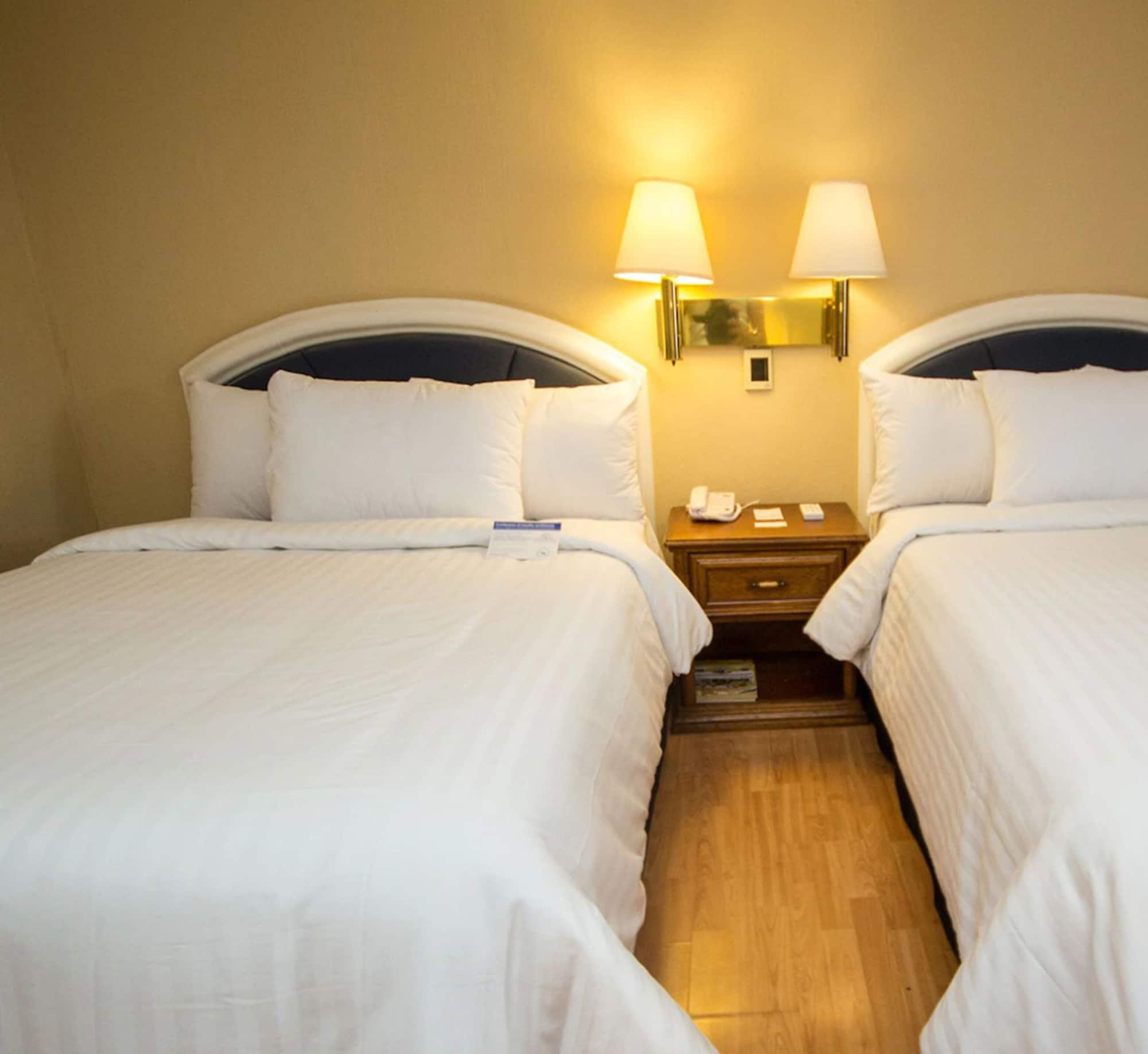 Hotel Gran Plaza&Convention Center Guanajuato Esterno foto